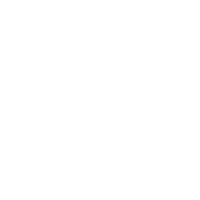 Plattenservice